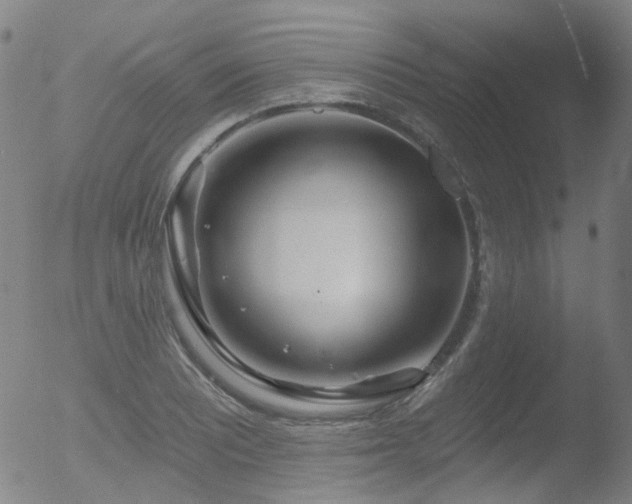 X0000052941081200507081138