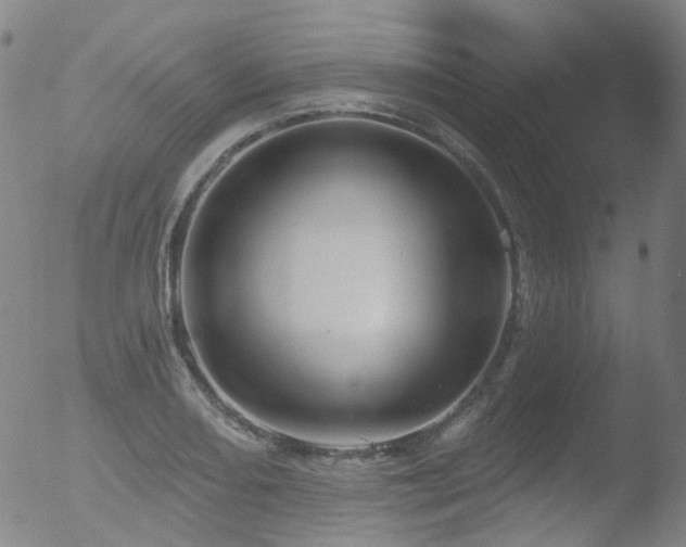 X0000052941082200507081138