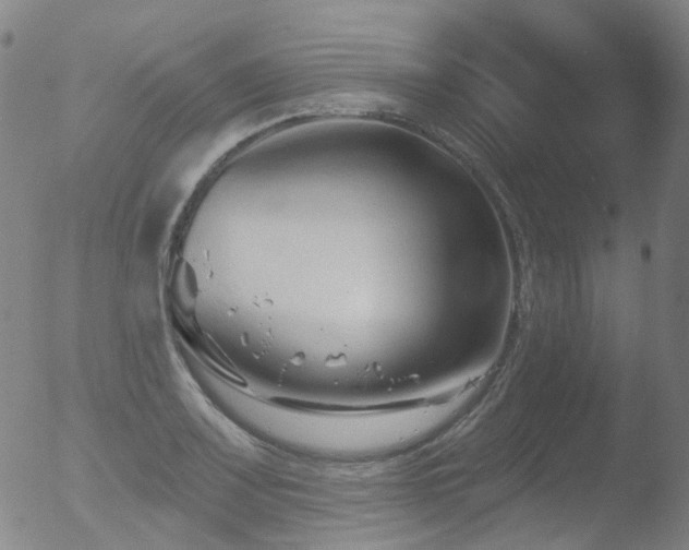 X0000052941083200507081138