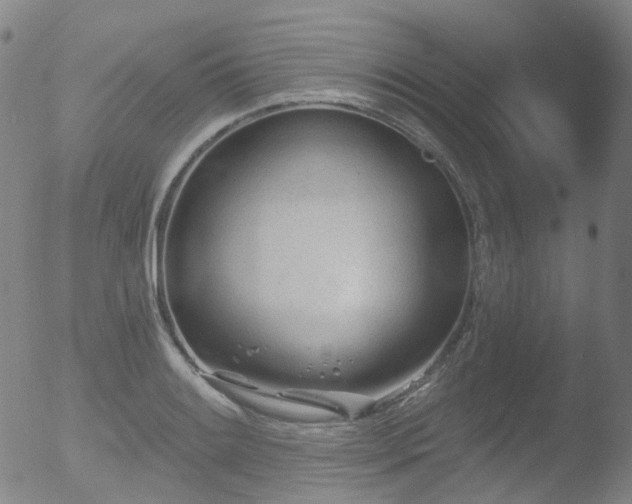 X0000052941084200507081138