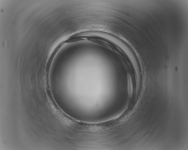 X0000052941085200507081138