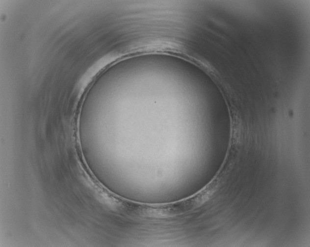 X0000052941086200507081138