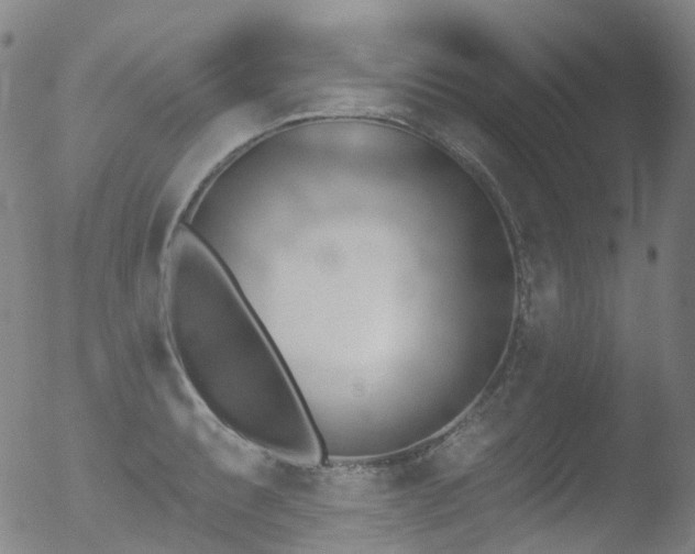 X0000052941087200507081138