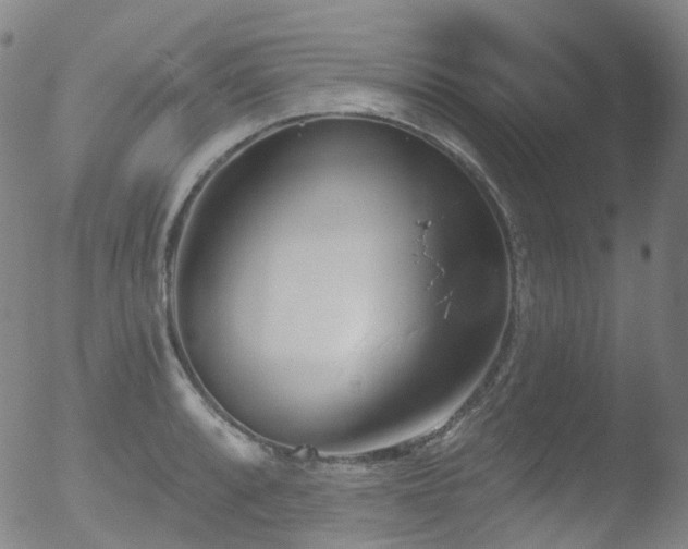 X0000052941088200507081138