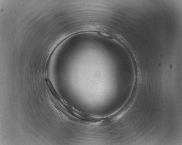 X0000052941089200507081138