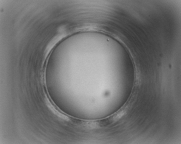 X0000052941090200507081138