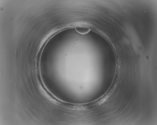 X0000052941091200507081138