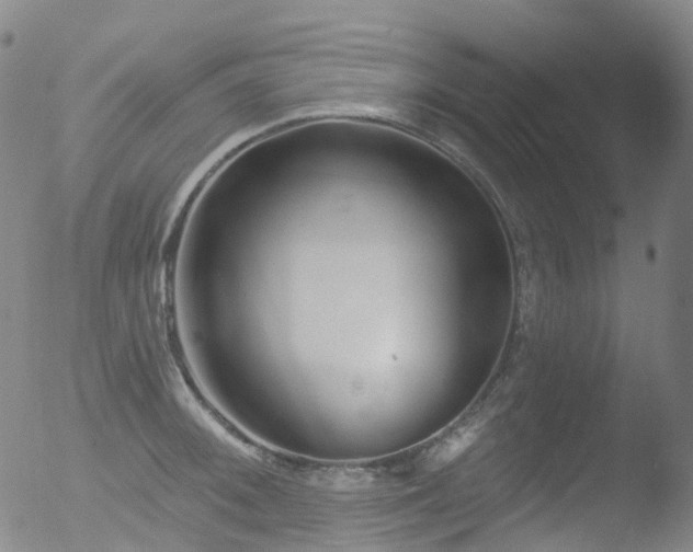 X0000052941092200507081138