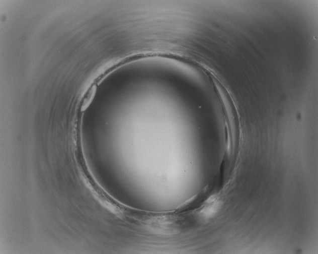 X0000052941093200507081138