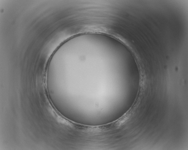 X0000052941094200507081138