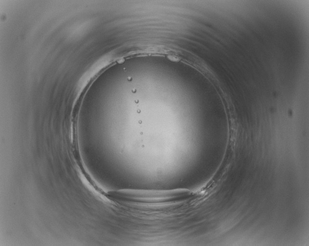 X0000052941095200507081138