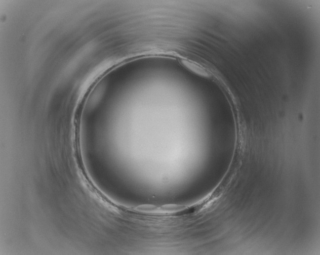 X0000052941096200507081138