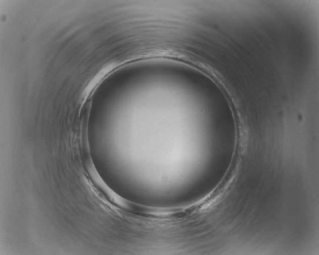 X0000052941097200507081138