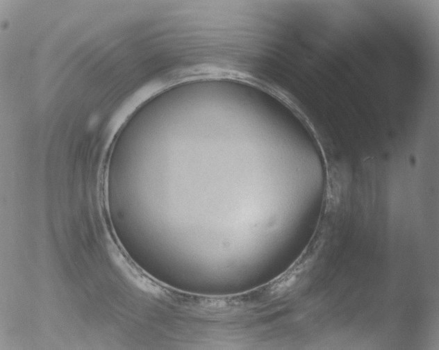 X0000052941098200507081138