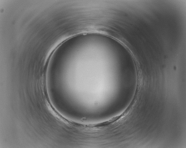 X0000052941100200507081138