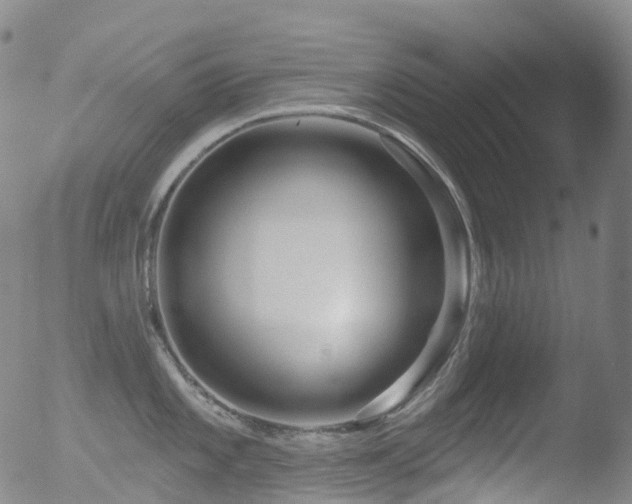 X0000052941101200507081138