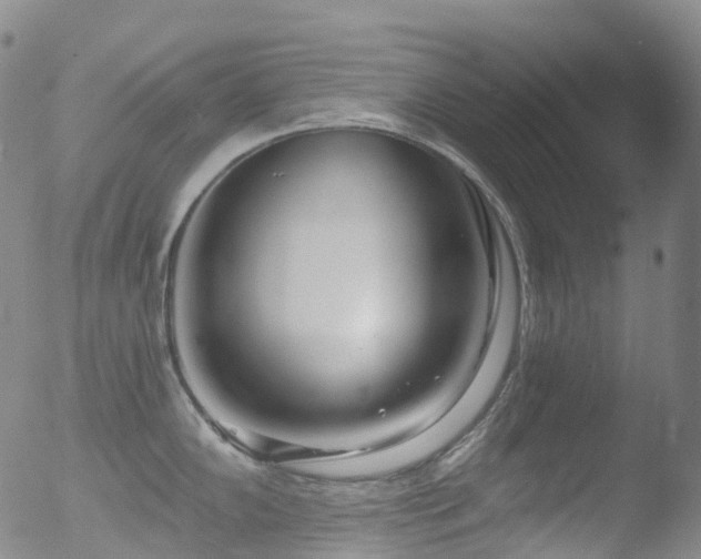 X0000052941102200507081138