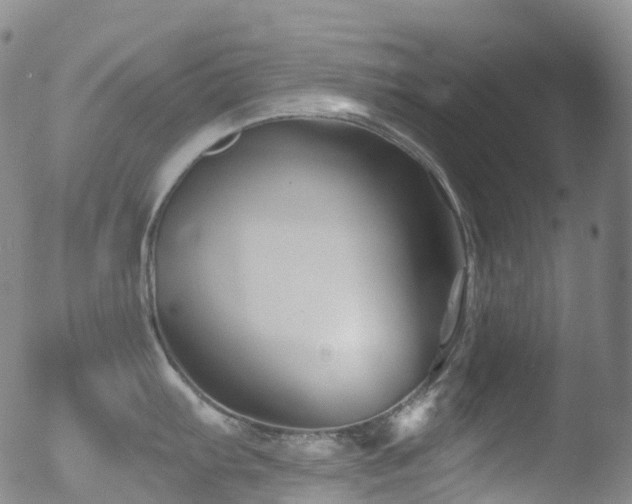 X0000052941103200507081138