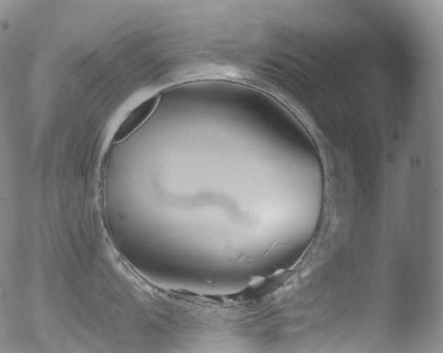 X0000052941104200507081138