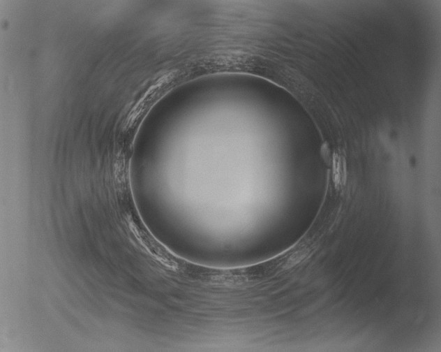 X0000052941107200507081137