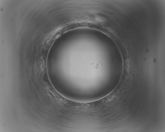 X0000052941111200507081137