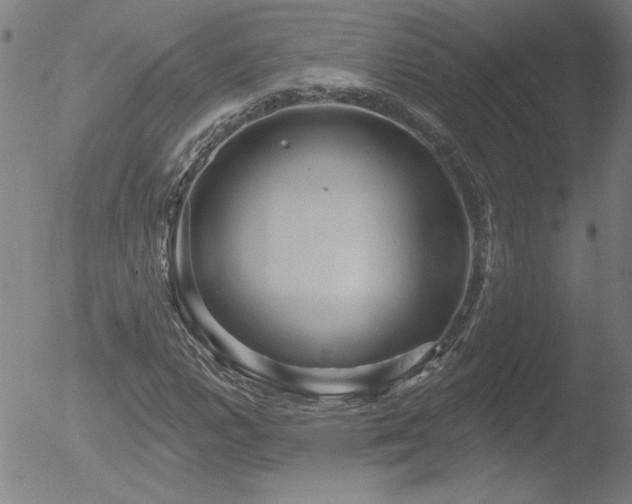 X0000052941112200507081137