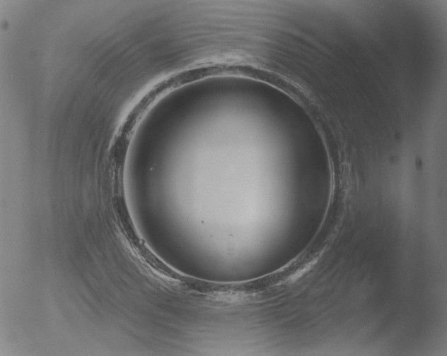 X0000052941118200507081137