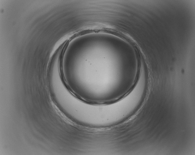 X0000052941122200507081137