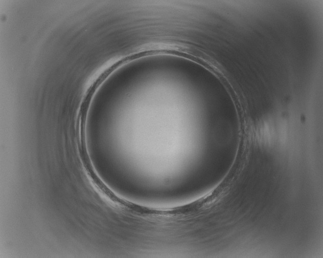 X0000052941127200507081137