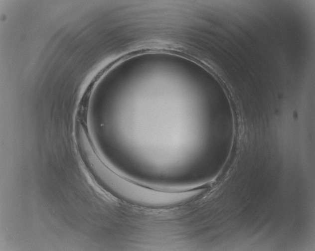 X0000052941128200507081137