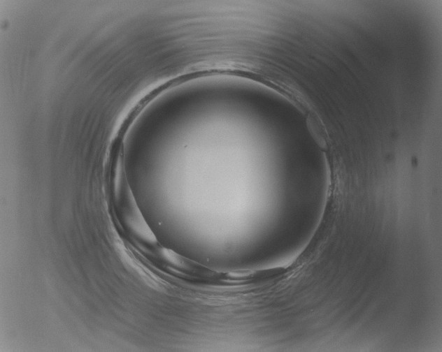 X0000052941132200507081137