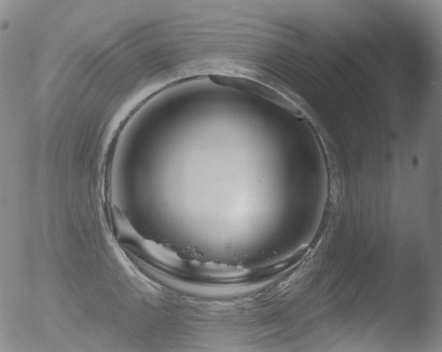 X0000052941144200507081137