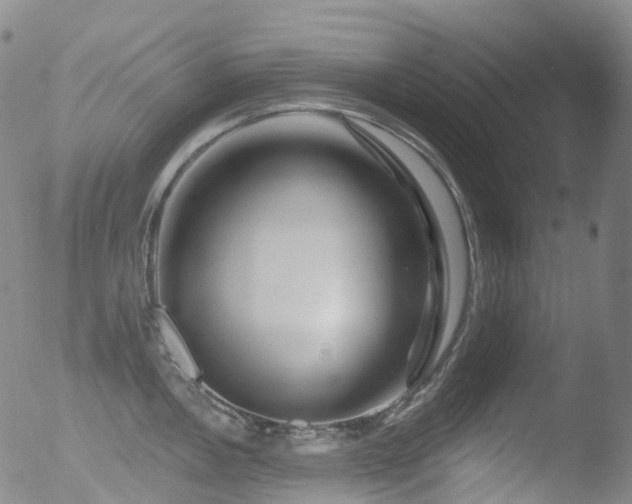 X0000052941146200507081137