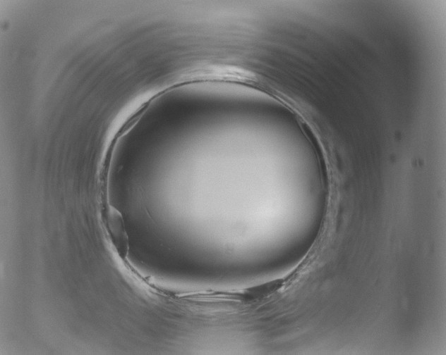 X0000052941152200507081138