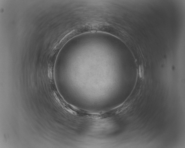 X0000052941155200507081137