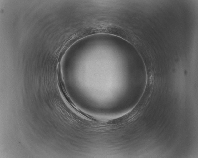 X0000052941156200507081137