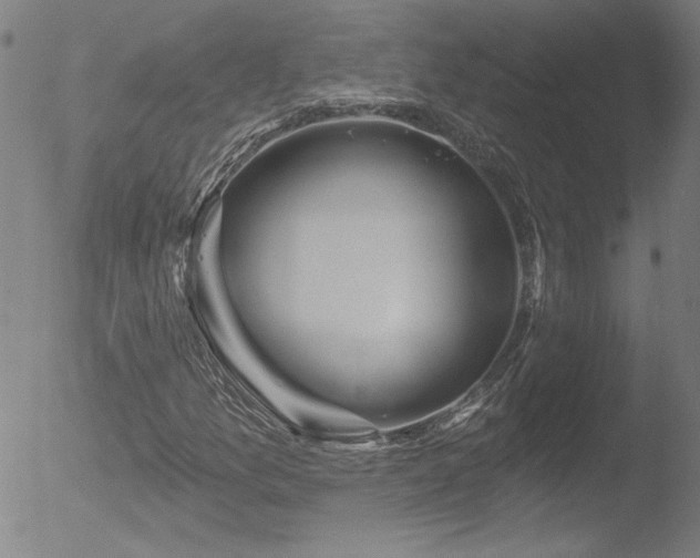 X0000052941157200507081137