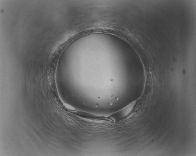 X0000052941159200507081137