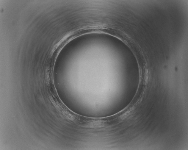 X0000052941162200507081137