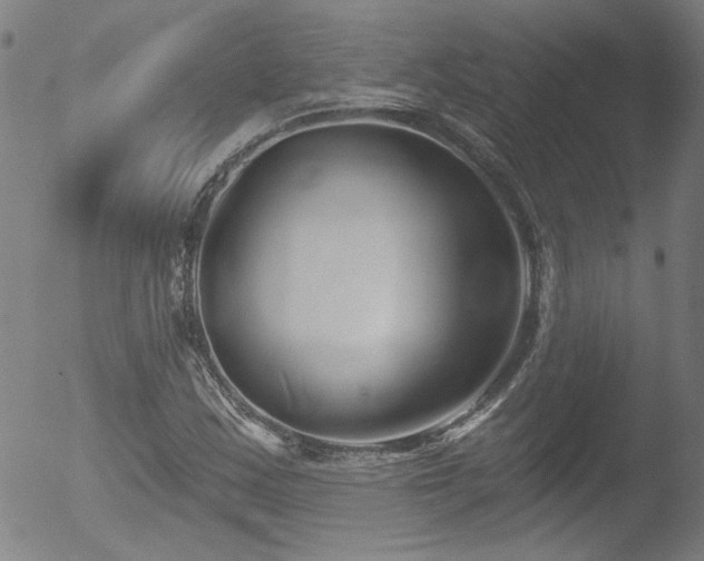 X0000052941163200507081137