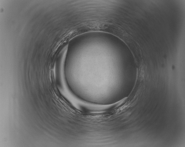 X0000052941202200507081135
