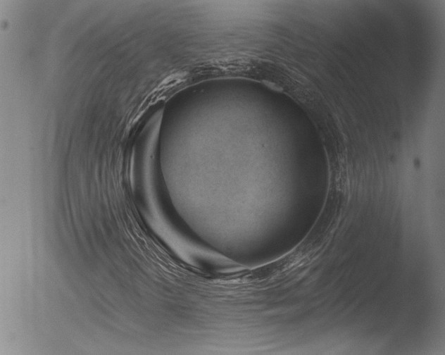 X0000052941298200507081134