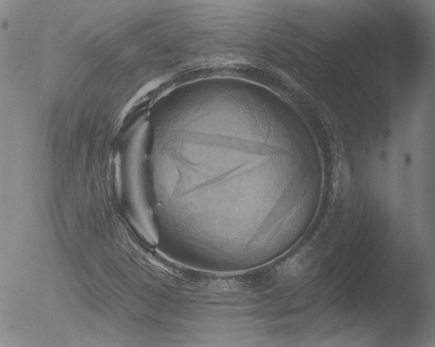 X0000052941306200507081134