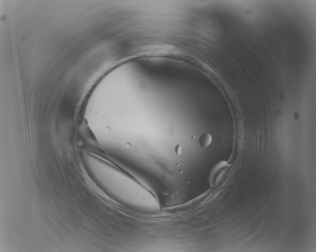 X0000052941467200507081131