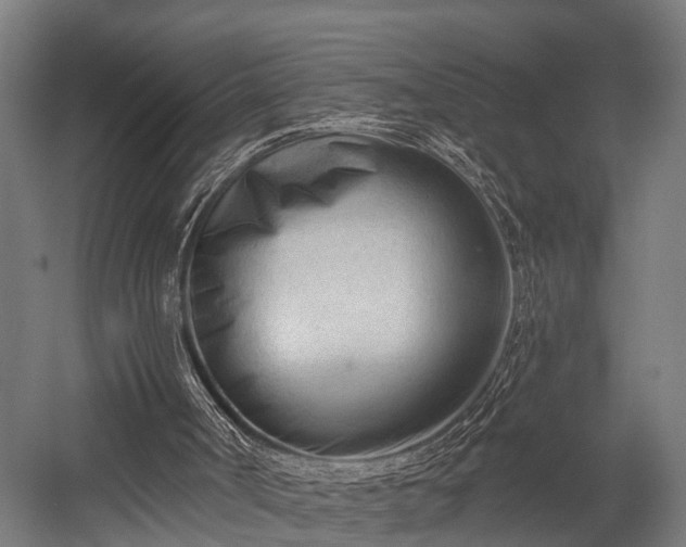 X0000052940002200507151655