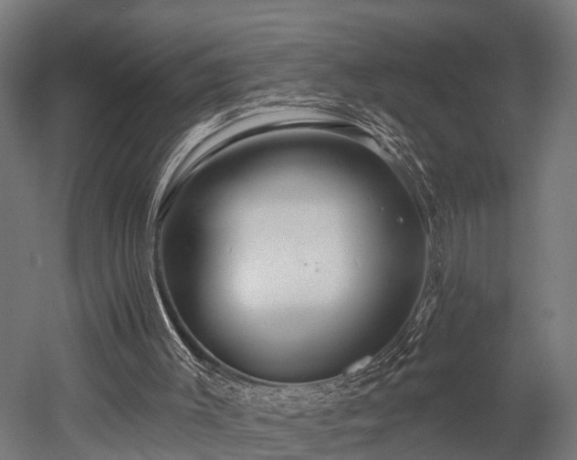 X0000052940003200507151655