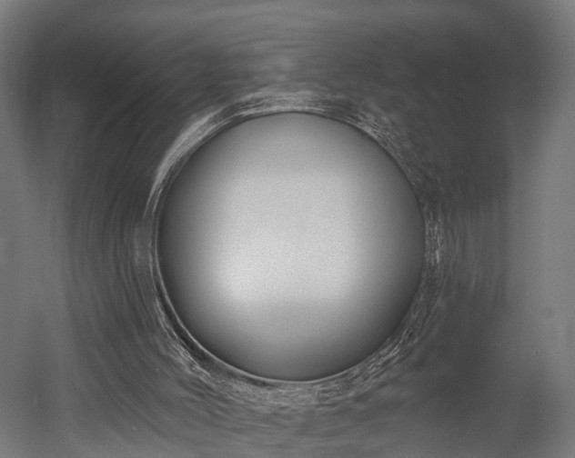 X0000052940004200507151655