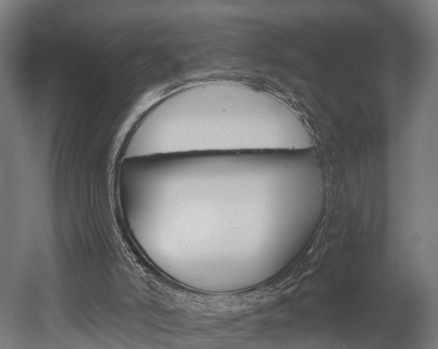 X0000052940006200507151655