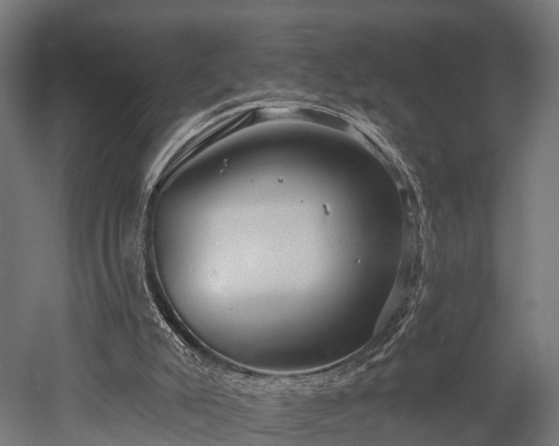 X0000052940007200507151655