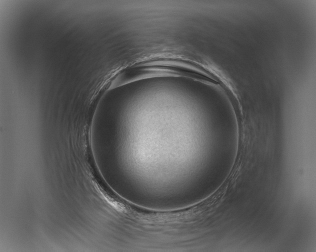 X0000052940009200507151655